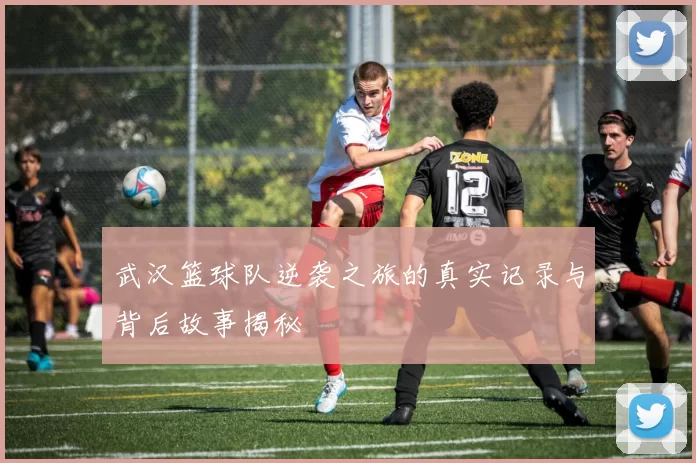 武汉篮球队逆袭之旅的真实记录与背后故事揭秘